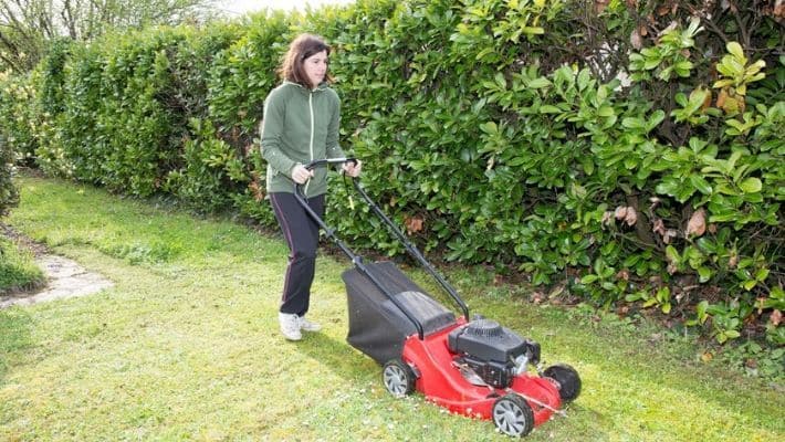 Life Expectancy of a Lawn Mower