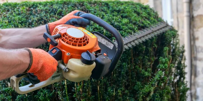 Are Petrol Hedge Trimmers Better Than Electric
