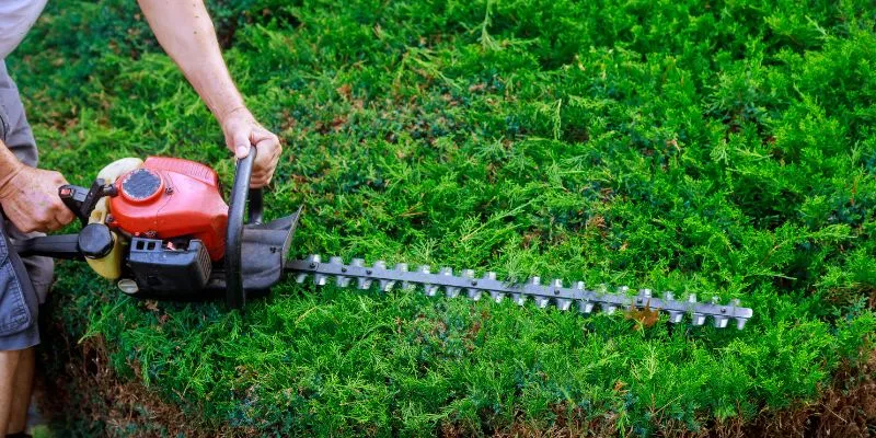 Can You Use a Petrol Hedge Trimmer In The Rain