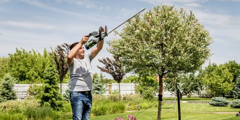 Are Petrol Hedge Trimmers Better Than Electric