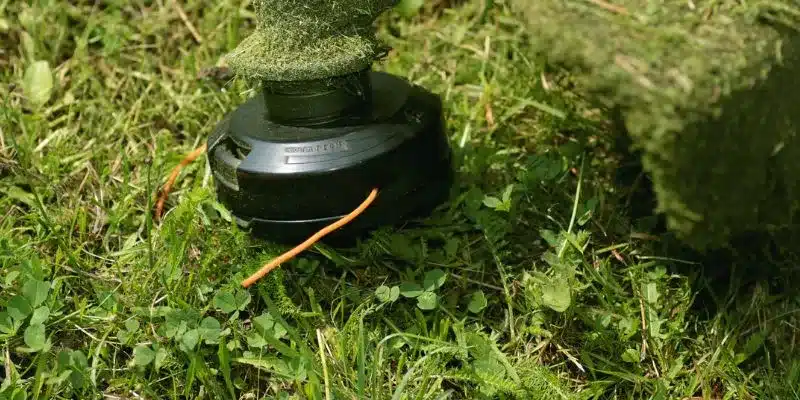 Step-by-Step Guide on How to Change Strimmer Wire