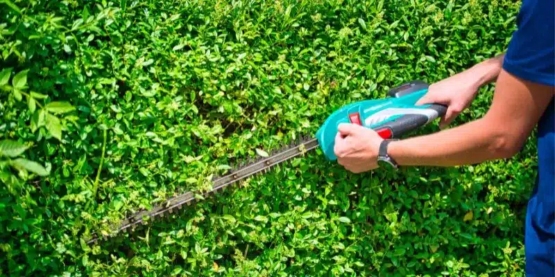 How to Use a Petrol Hedge Trimmer