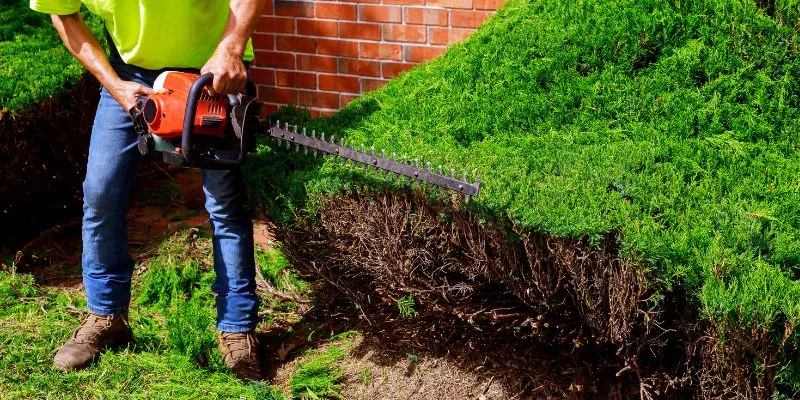 Tips for Using Petrol Hedge Trimmers Effectively