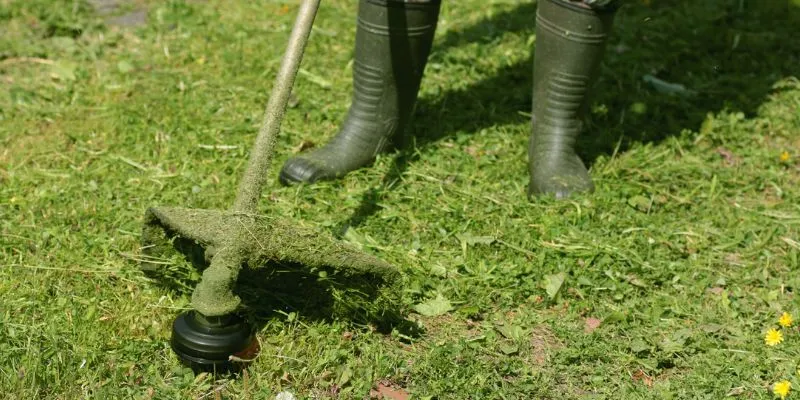 Tips for Using a Petrol Strimmer Effectively