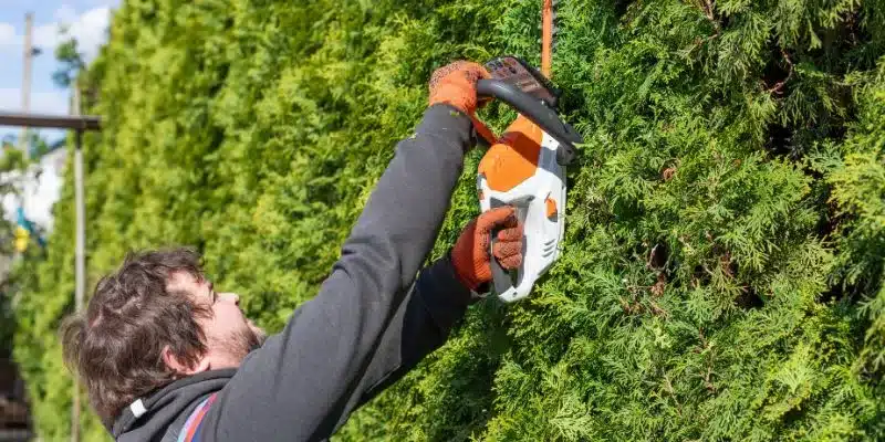 Ratio for Your Hedge Trimmer