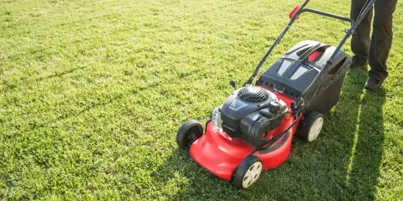 Are Cobra Lawn Mowers Any Good