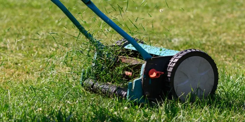 Are Manual Lawn Mowers Hard to Use