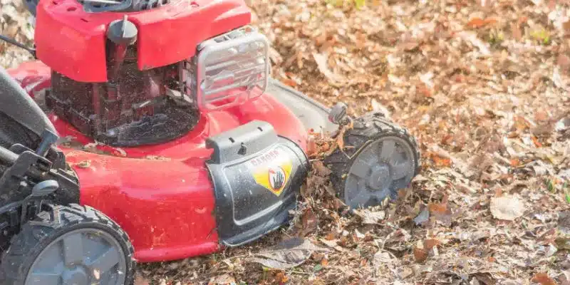 Benefits of Lawn Mower Mulching