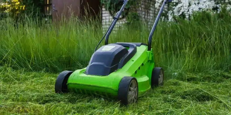 Can I Cut Long Grass with a Lawn Mower