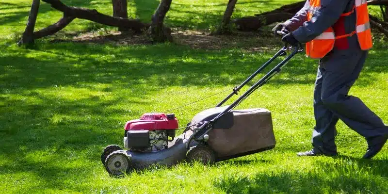 Advantages of Choosing Honda Lawn Mowers