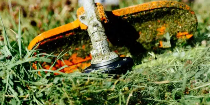 How Long Should You Use a Strimmer For