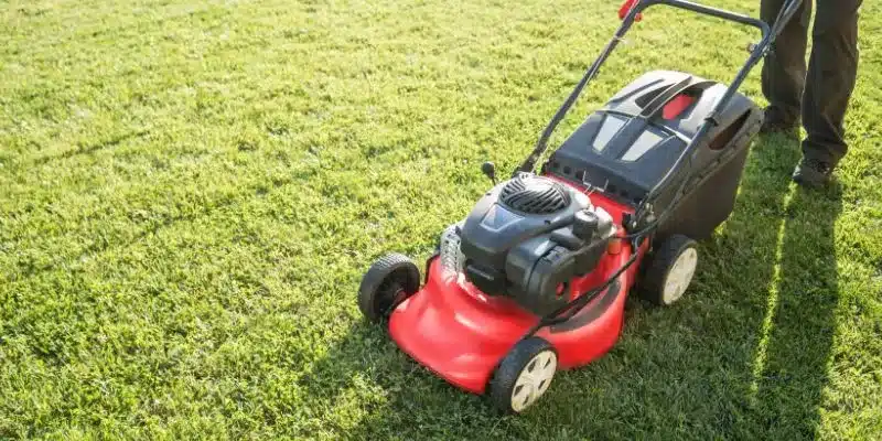 What Self Propelled Lawn Mower