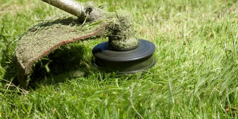 Can I Use a Strimmer to Cut a Small Lawn