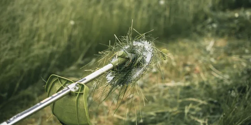 How to Use a Strimmer on Long Grass