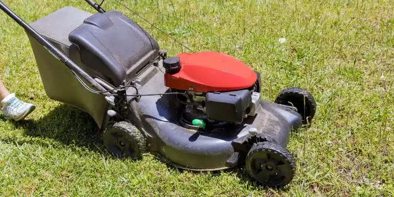What Self Propelled Lawn Mower