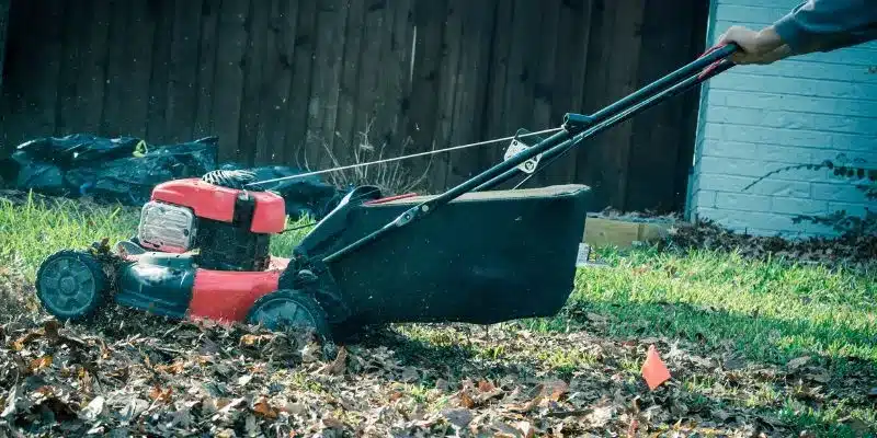 What is Lawn Mower Mulching